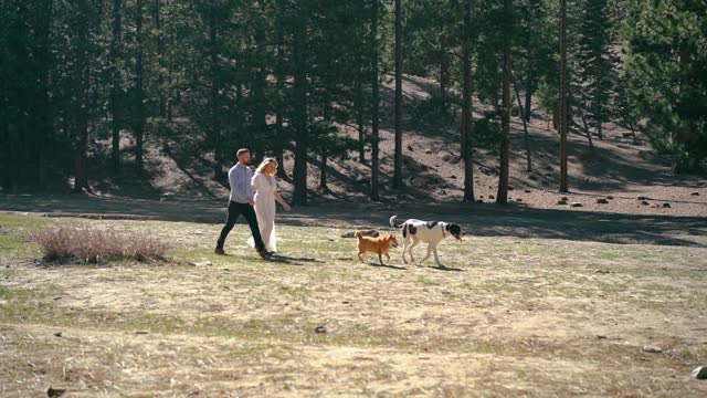 Sami Jo and Andrew with their dogs among the trees
